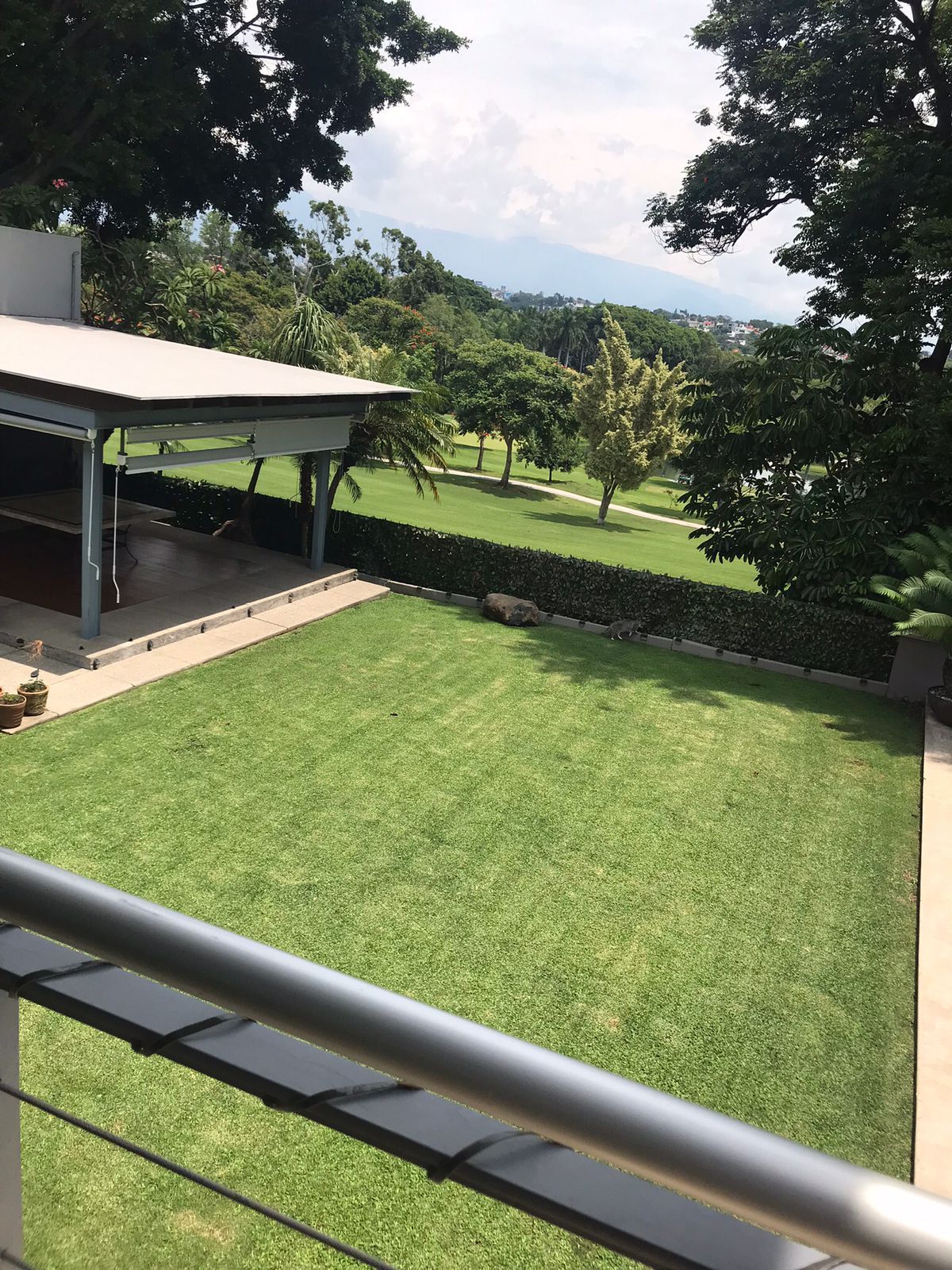 Casa con alberca circular y palmeras